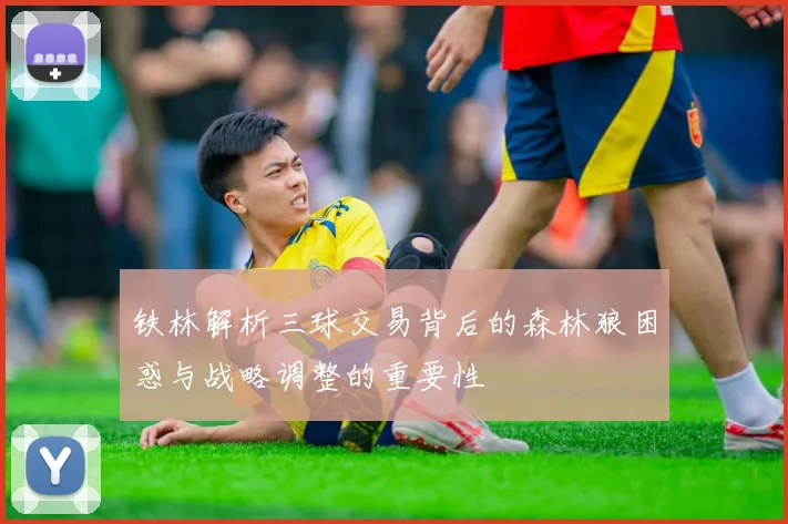铁林解析三球交易背后的森林狼困惑与战略调整的重要性