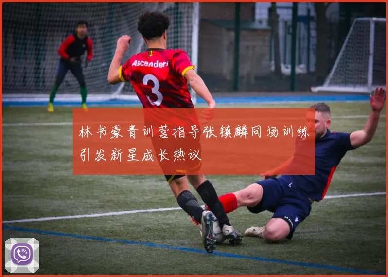 林书豪青训营指导张镇麟同场训练引发新星成长热议